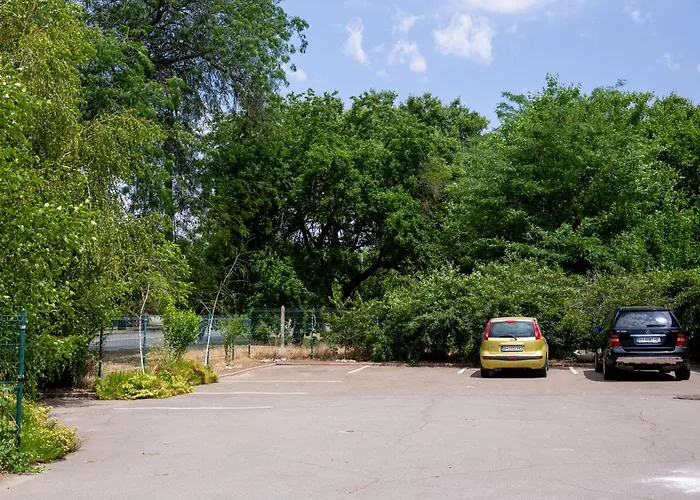 славна кача